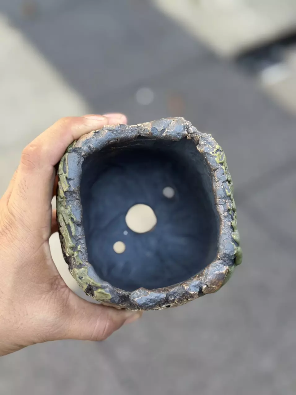 plant/Green crater claws square 4x4-1