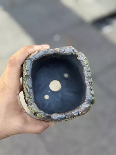 plant/Green crater claws square 4x4-1-thumbnail