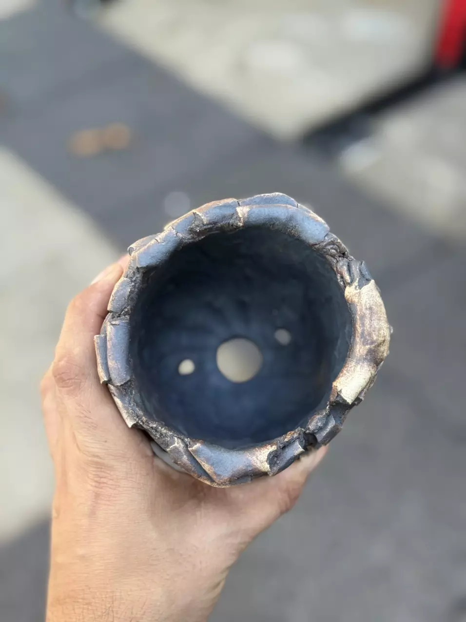 plant/Bones 4.5x4.5-1