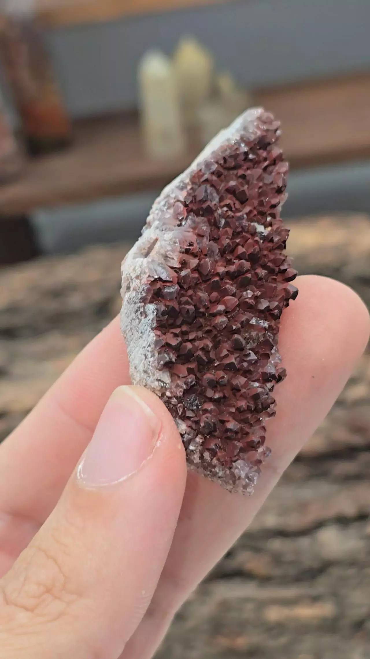 plant/🔥WAS 12🔥Cranberry Amethyst Cluster from Turkey-0