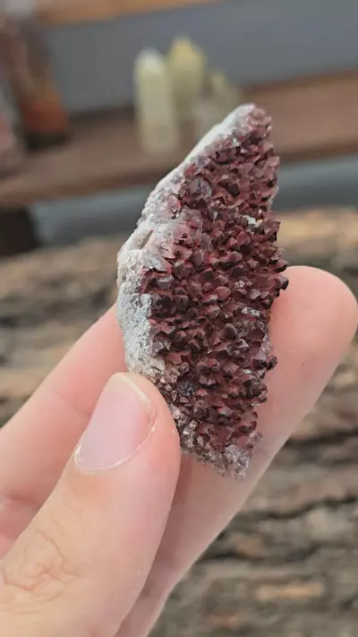 plant/🔥WAS 12🔥Cranberry Amethyst Cluster from Turkey-0-thumbnail