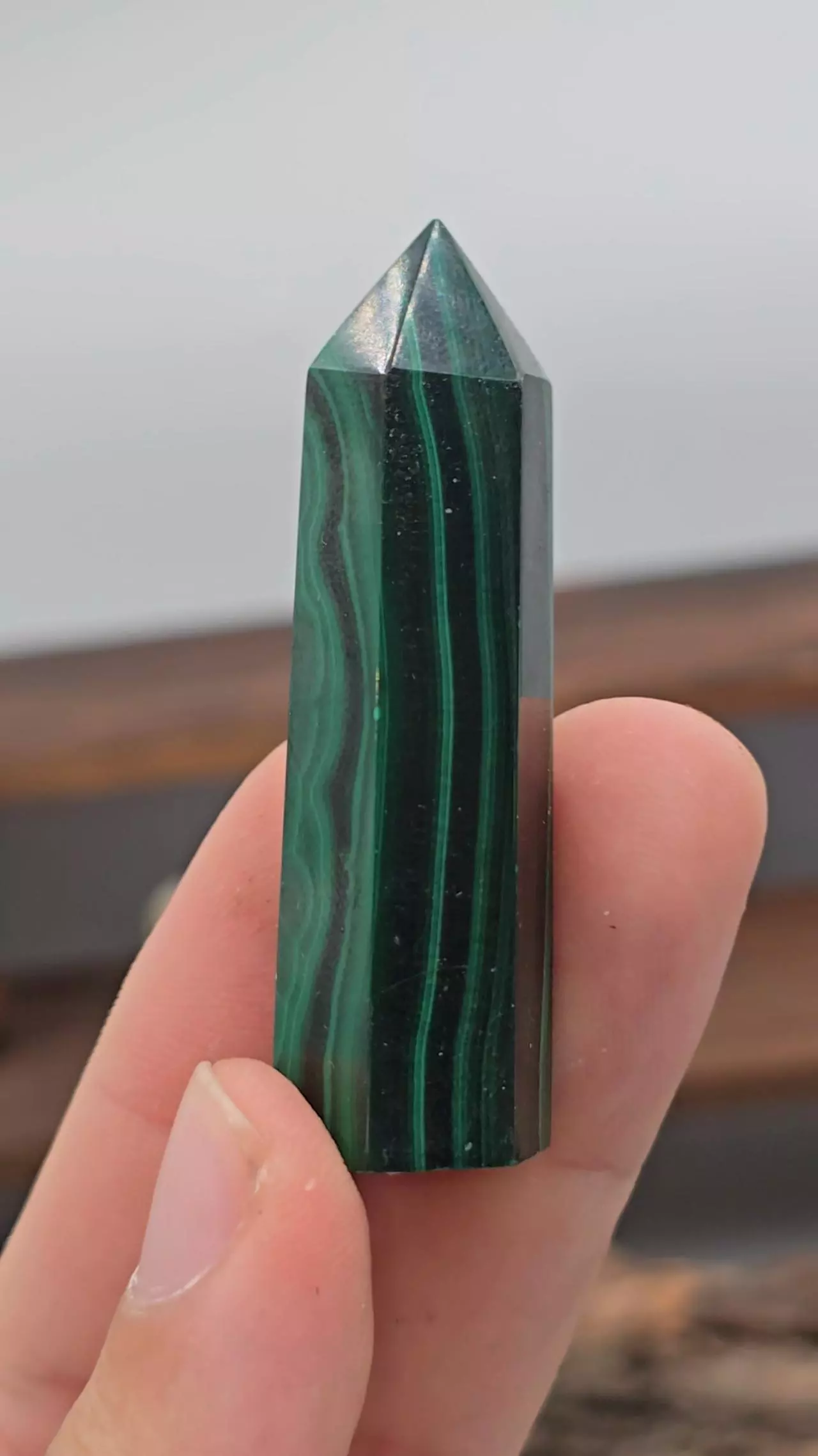 plant/🔥WAS 22🔥 Malachite Tower from The Congo-0