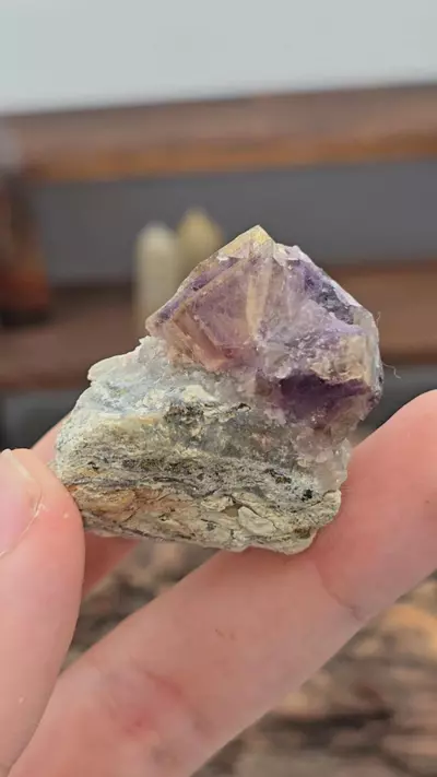 plant/🔥WAS 18🔥 Fluorite from China-0-thumbnail