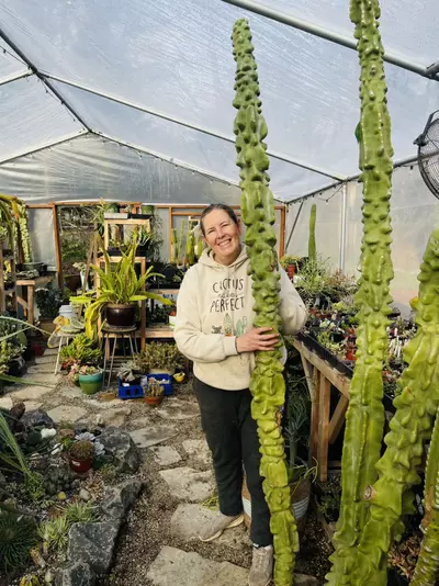 plant/Huge Totem Pole Cactus, 9 feet tall!!-0-thumbnail