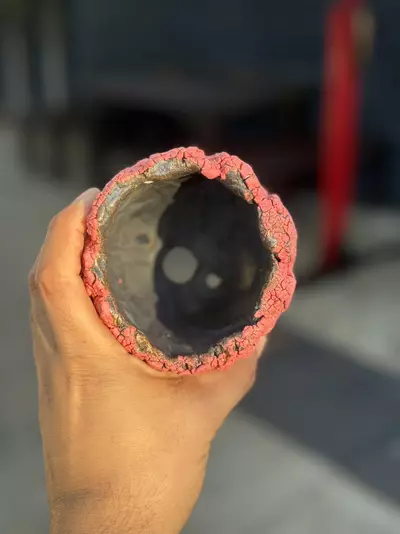 plant/Salmon Crackle 4x4-1-thumbnail