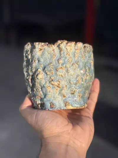 plant/Lake 5x4.25H-0-thumbnail