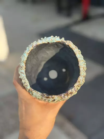 plant/Dragon Coconut 4.75x4.5H-1-thumbnail