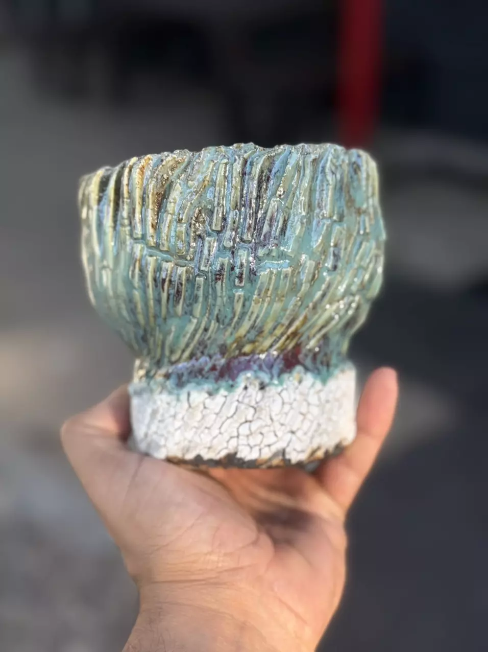 plant/Dragon Coconut 4.75x4.5H-0