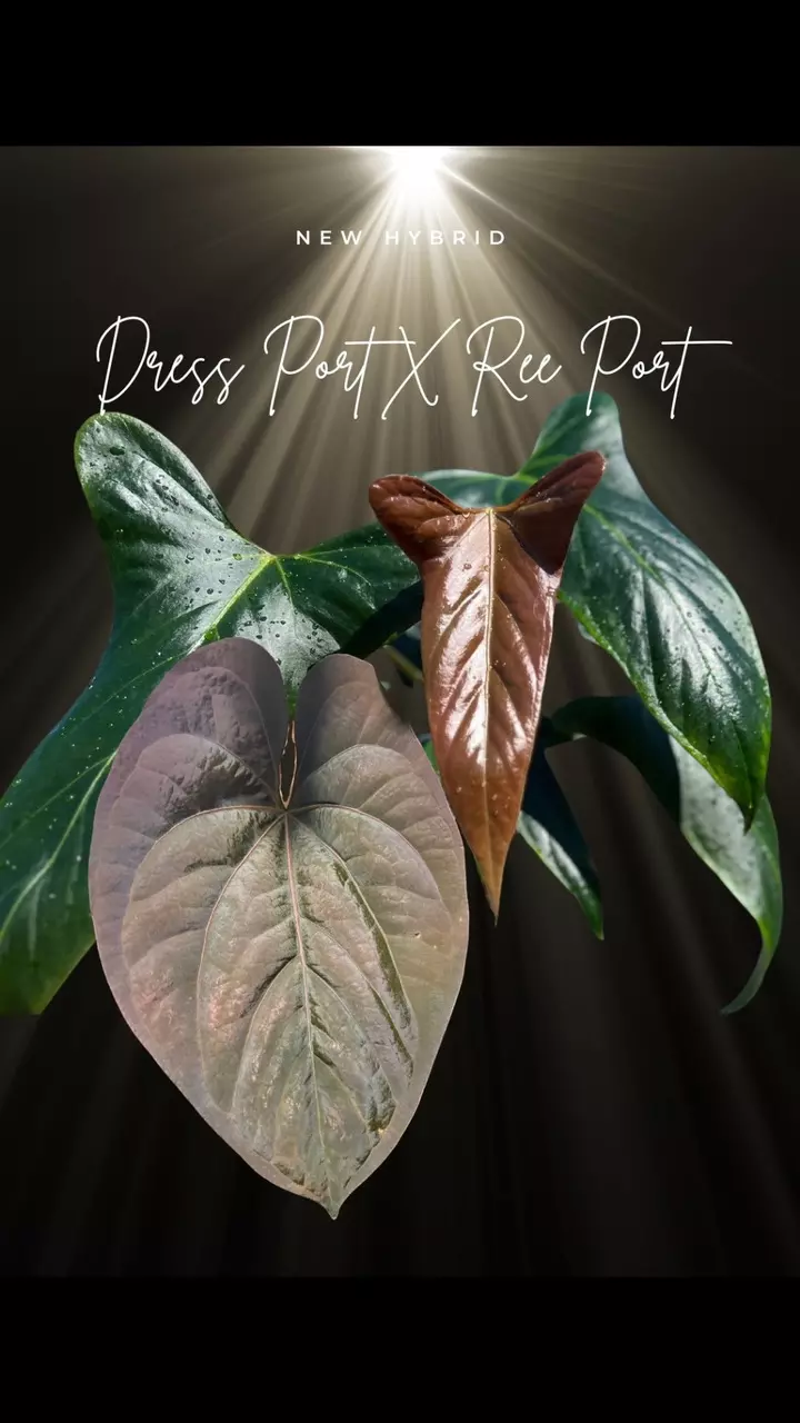 plant/Mutated Select Dress Port X Ree Port-1