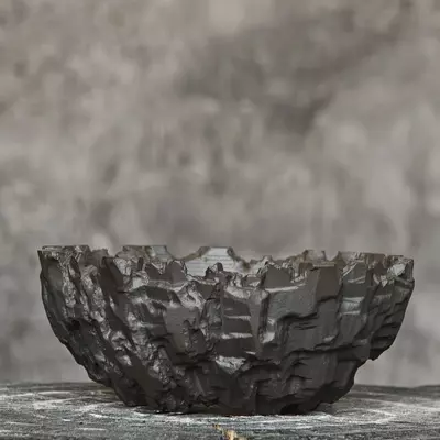 plant/【401】-0-thumbnail