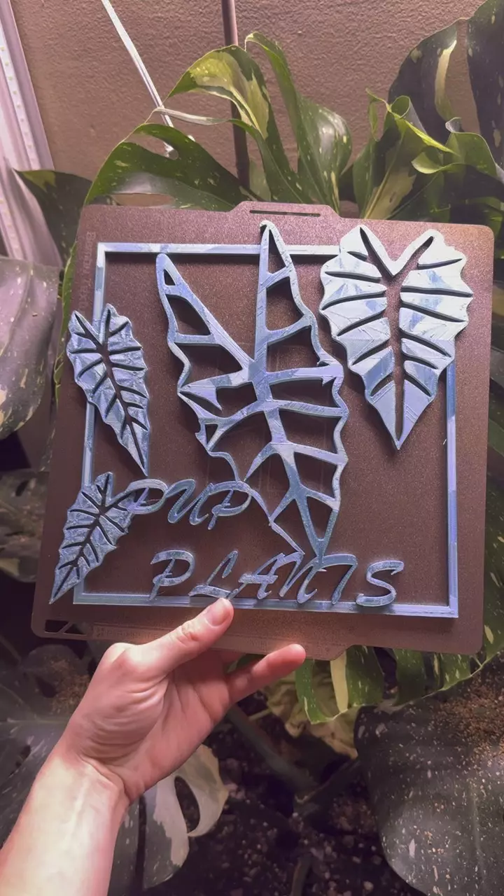 plant/Customizable alocasia sign!! With or without a name!!-2
