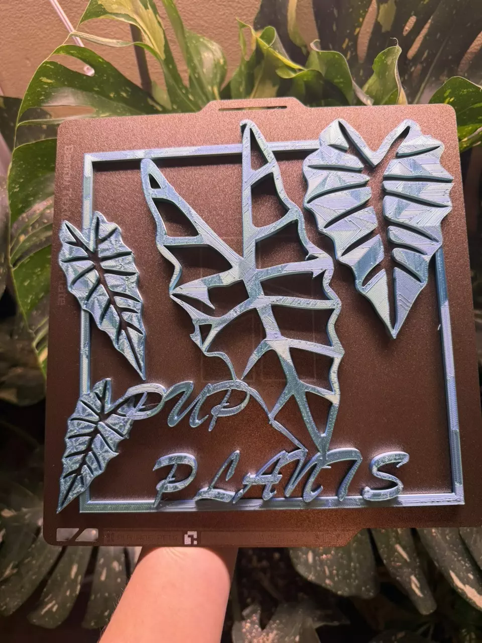 plant/Customizable alocasia sign!! With or without a name!!-1