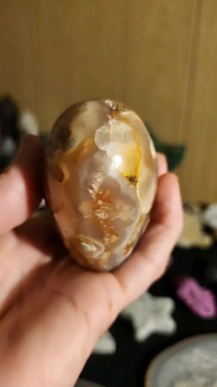 plant/🔮 Large Puffy Flower Agate Heart W/ Druzy! 🔮-3