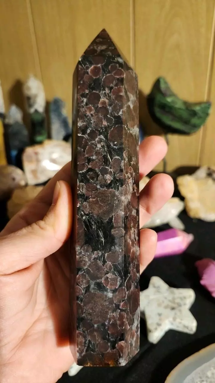 plant/🔮 Garnet Astrophyllite Tower 🔮-0