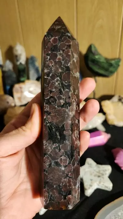 plant/🔮 Garnet Astrophyllite Tower 🔮-0-thumbnail