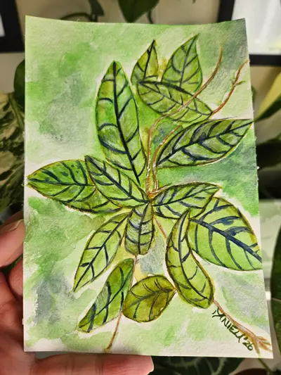 plant/Hoya black cat 5x7" watercolor painting-3-thumbnail