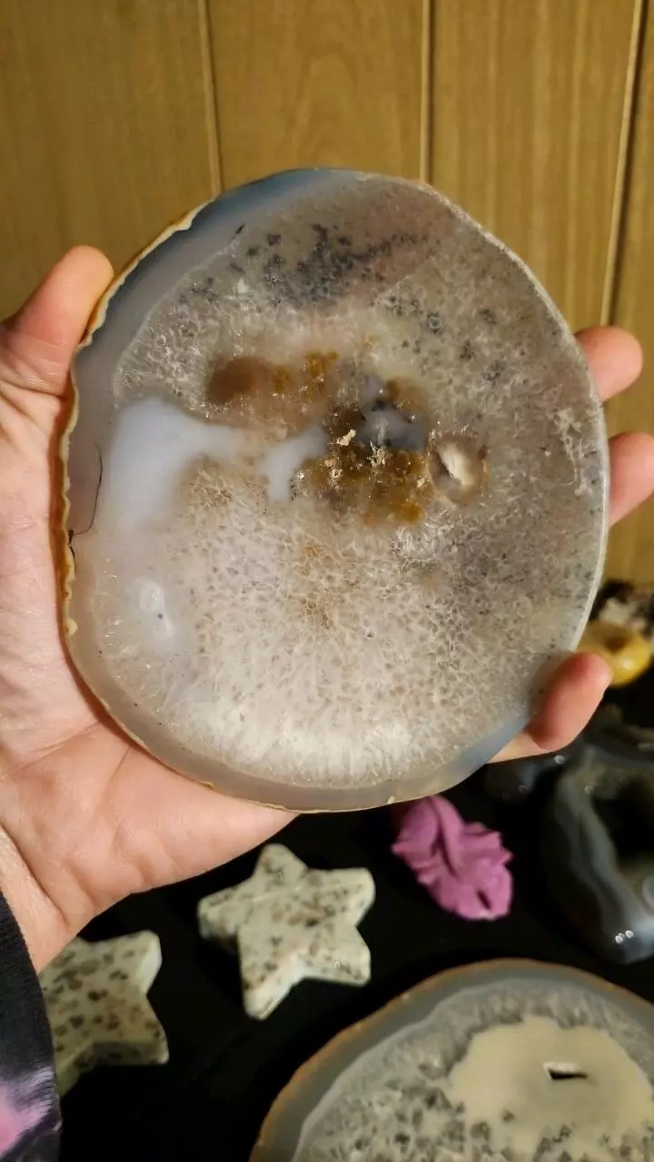 plant/🔮 Agate Slab Round 🔮-1
