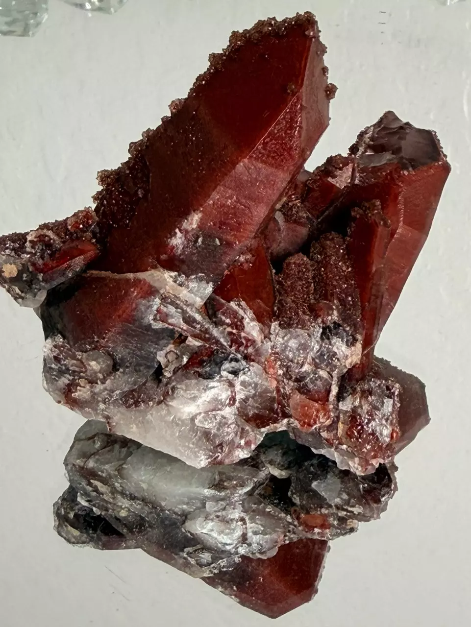 plant/Crystallized Iron Quartz- TOP QUALITY-0