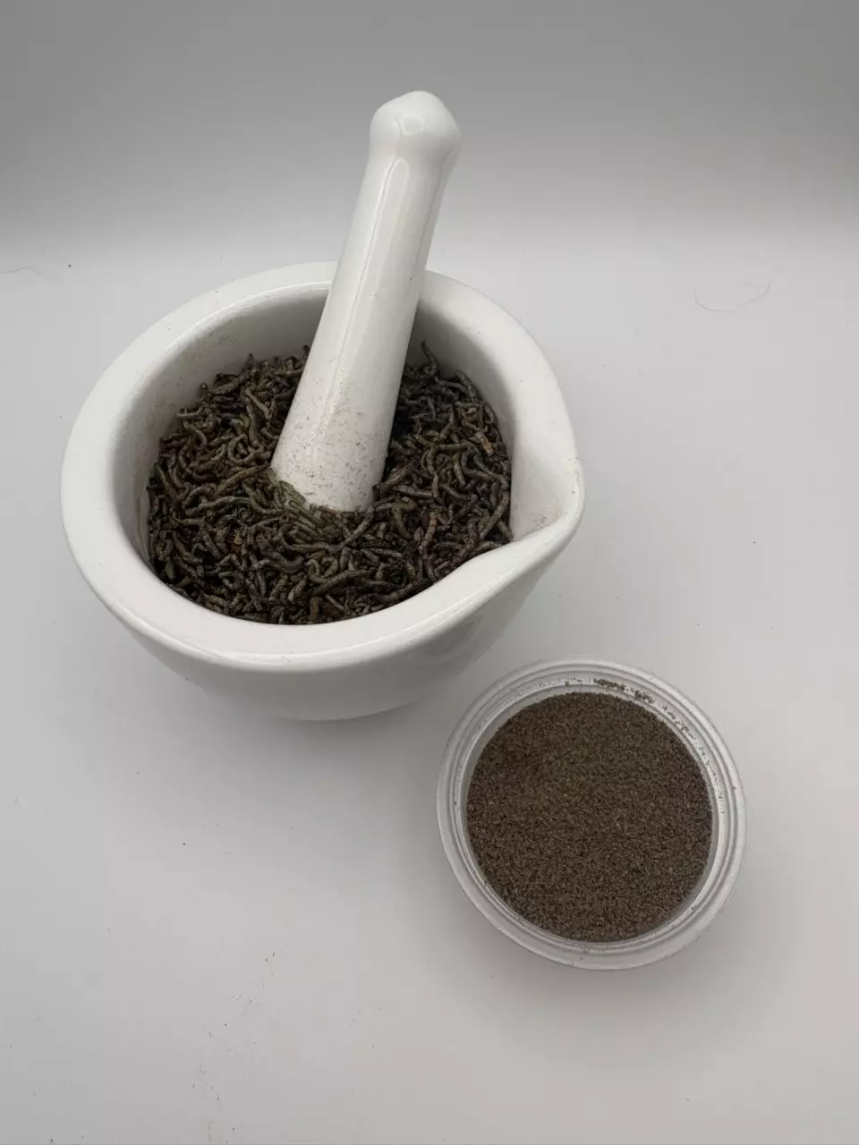 plant/Make Me a Kit-3