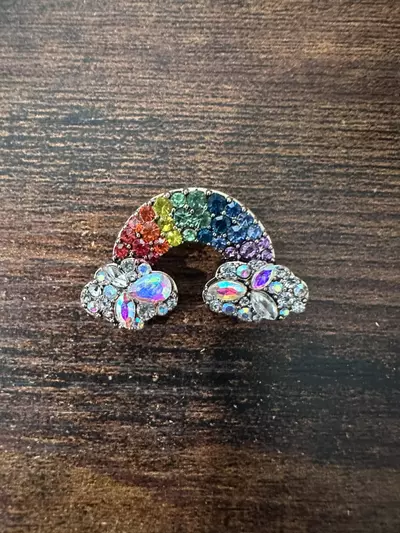 plant/1.4 inch rainbow brooch-0-thumbnail