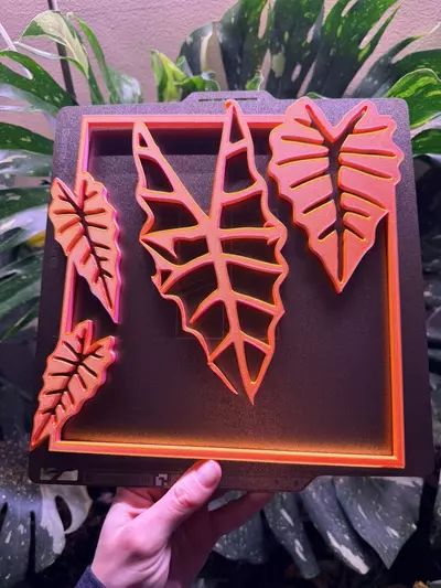 plant/Customizable alocasia sign!! With or without a name!!-0-thumbnail