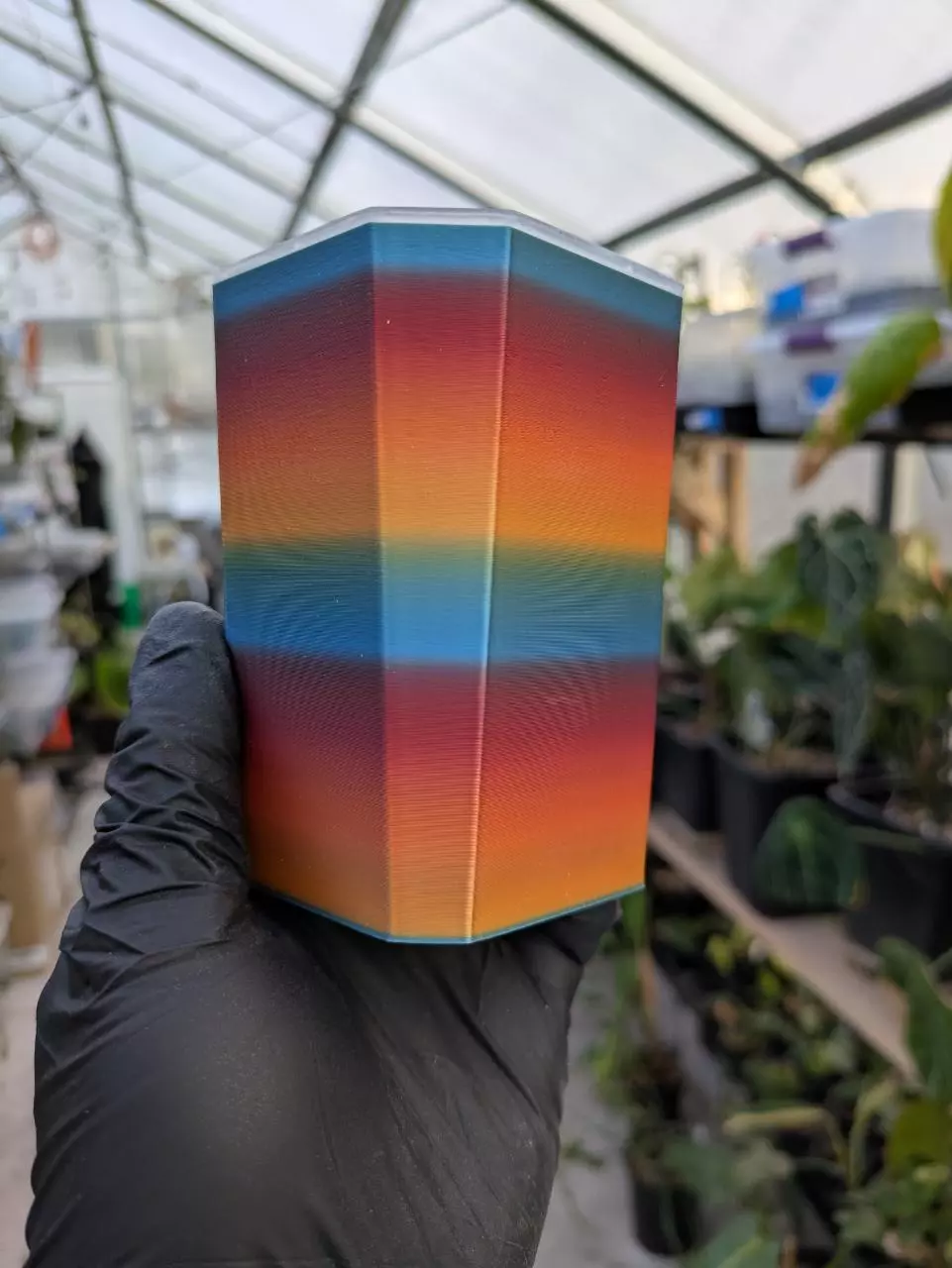 plant/Set of 3 - small cachepot - Rainbow sunset-0