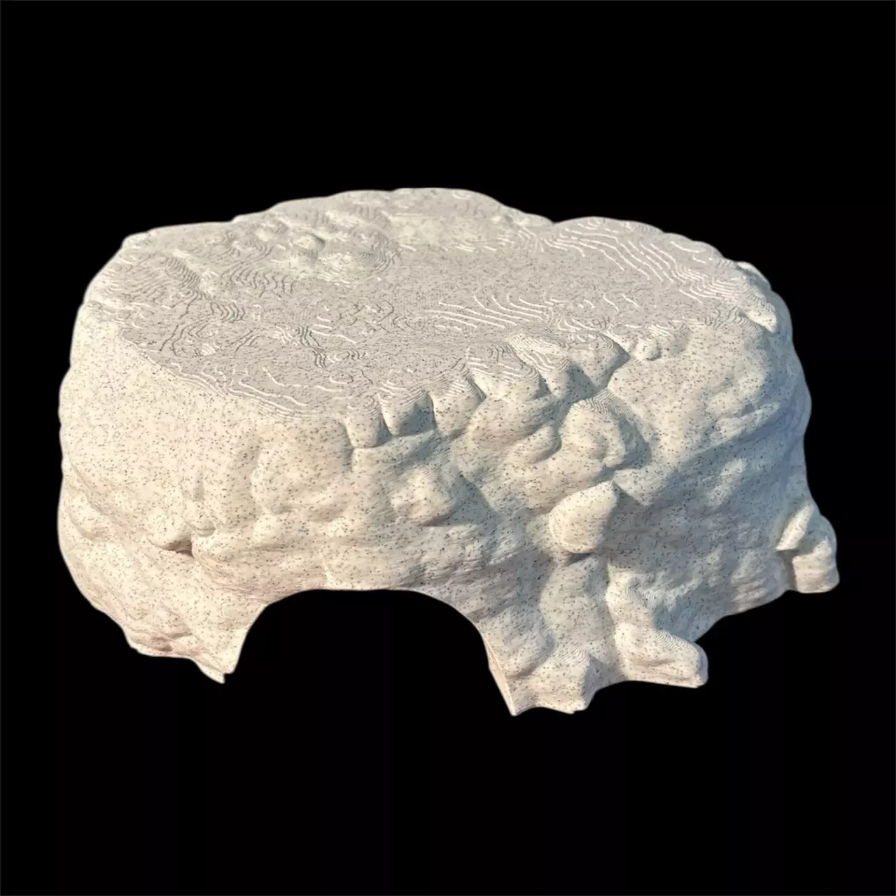 plant/Large Marble Hide-0