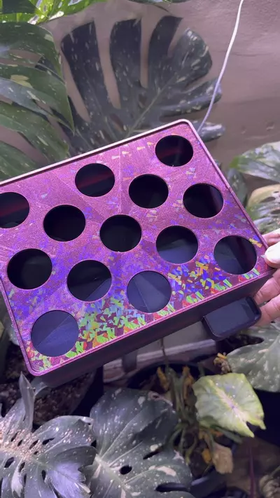 plant/Customized tray set with lid and cups (color options available)-0-thumbnail