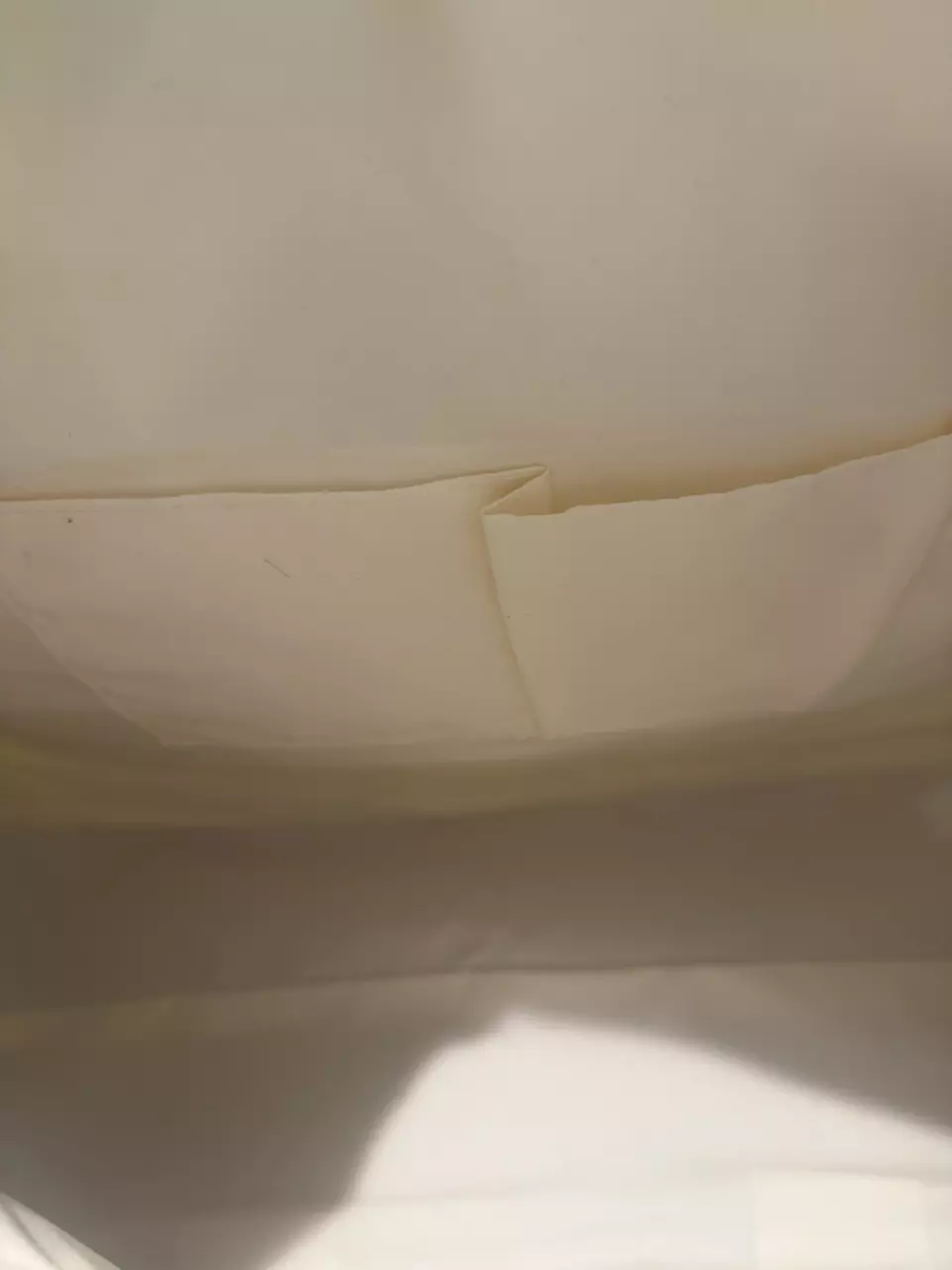 plant/Minnie mouse travel Tote/duffel bag… Brand new-4