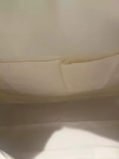 plant/Minnie mouse travel Tote/duffel bag… Brand new-4-thumbnail