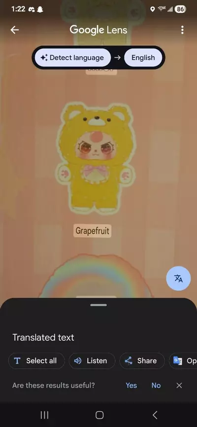 plant/Baby Three Sweetheart Series-3-thumbnail