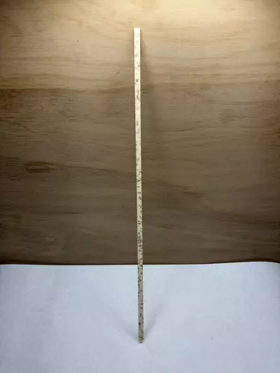 plant/3pk Crème Brûlée 16” Support Stick Straight-0-thumbnail