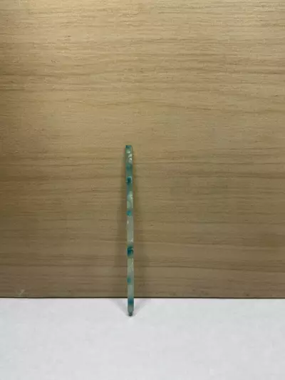 plant/5pk Ocean Tortoise Shell 5” Support Sticks-0-thumbnail