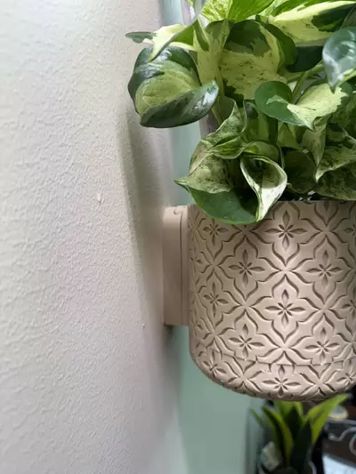 plant/Wall-mounted Pots w/ removable bottom-4-thumbnail