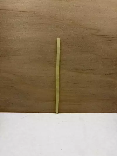 plant/5pk Yellow Fog 5” Support Sticks-0-thumbnail