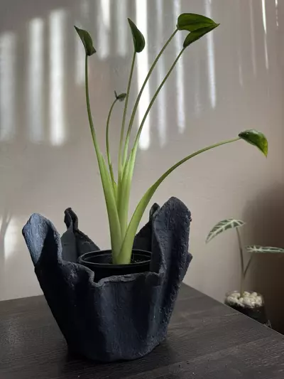 plant/Lightweight Cement Planter-2-thumbnail