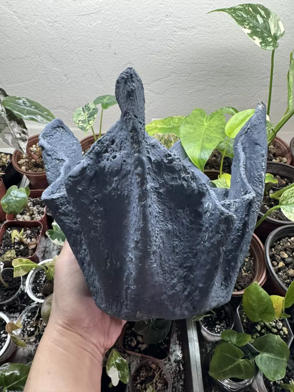 plant/Lightweight Cement Planter-0