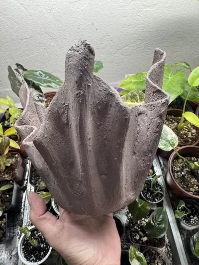 plant/Lightweight Cement Planter-0-thumbnail