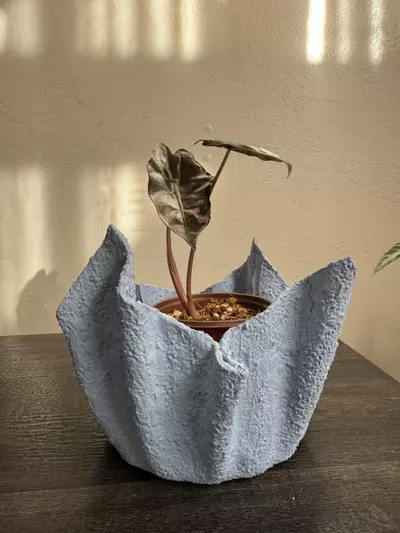 plant/Lightweight Cement Planter-2-thumbnail