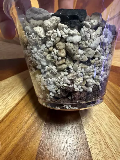 plant/Premium Tissue Culture Growing Medium (1 self watering cup size)-1-thumbnail