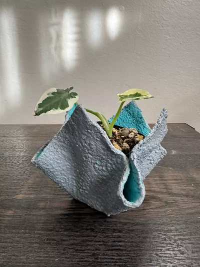 plant/Lightweight Cement Planter - Small-2-thumbnail
