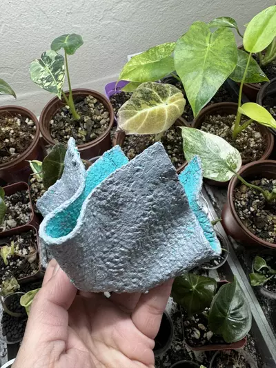 plant/Lightweight Cement Planter - Small-0-thumbnail