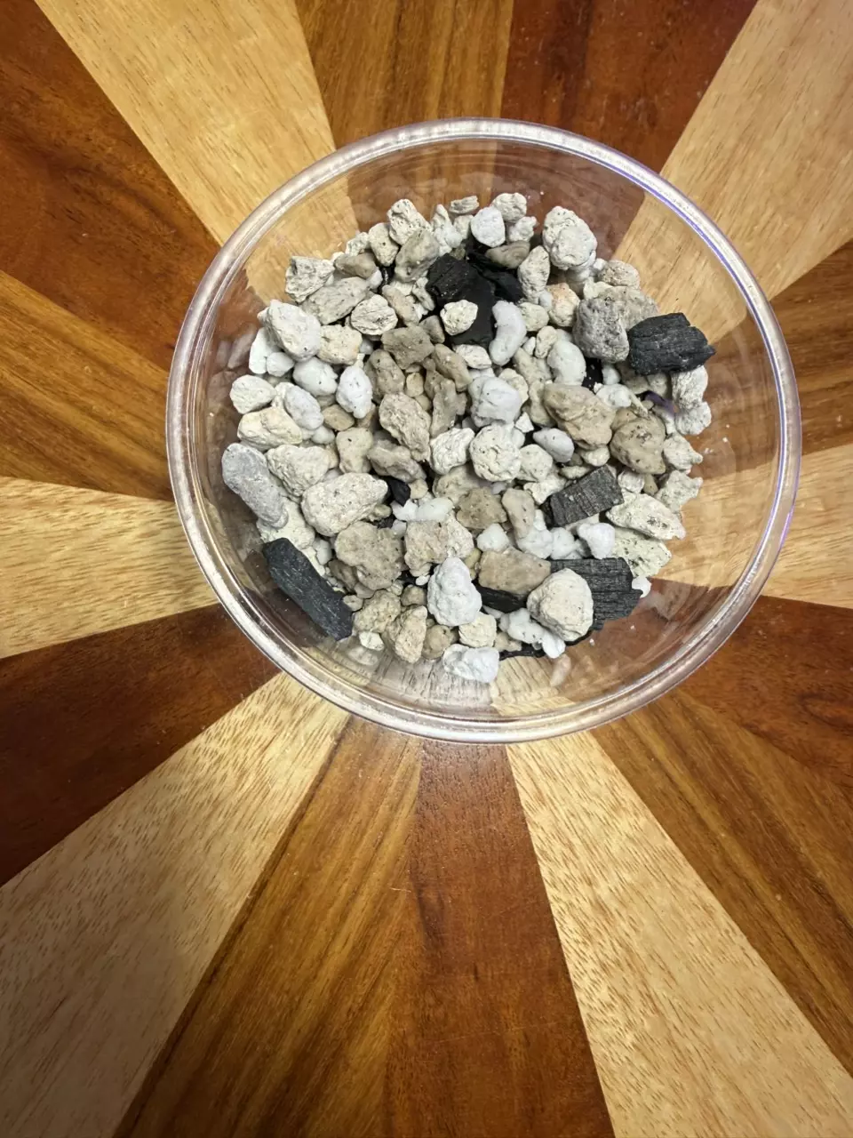 plant/Premium Tissue Culture Growing Medium (1 self watering cup size)-0