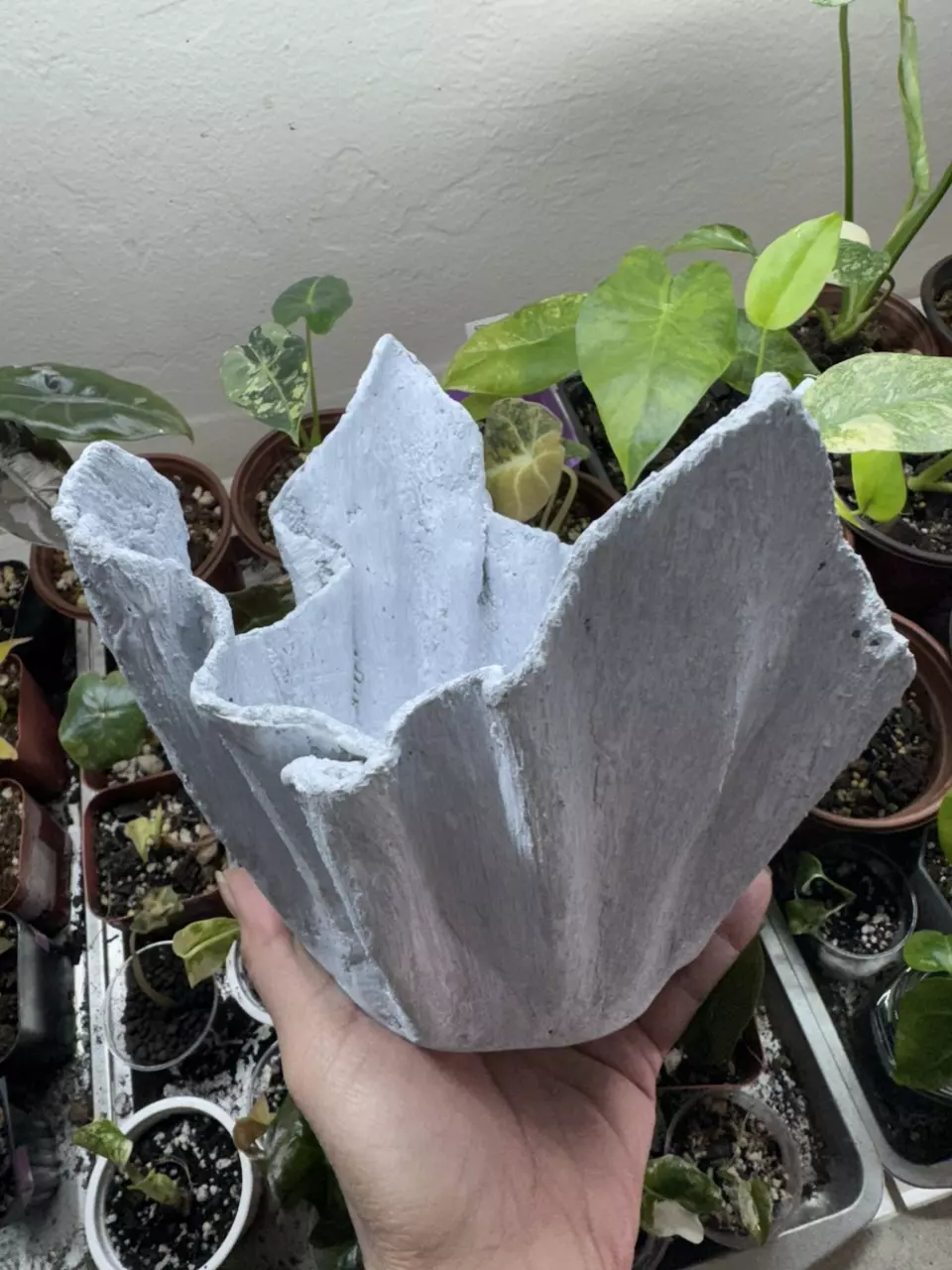 plant/Lightweight Cement Planter-0