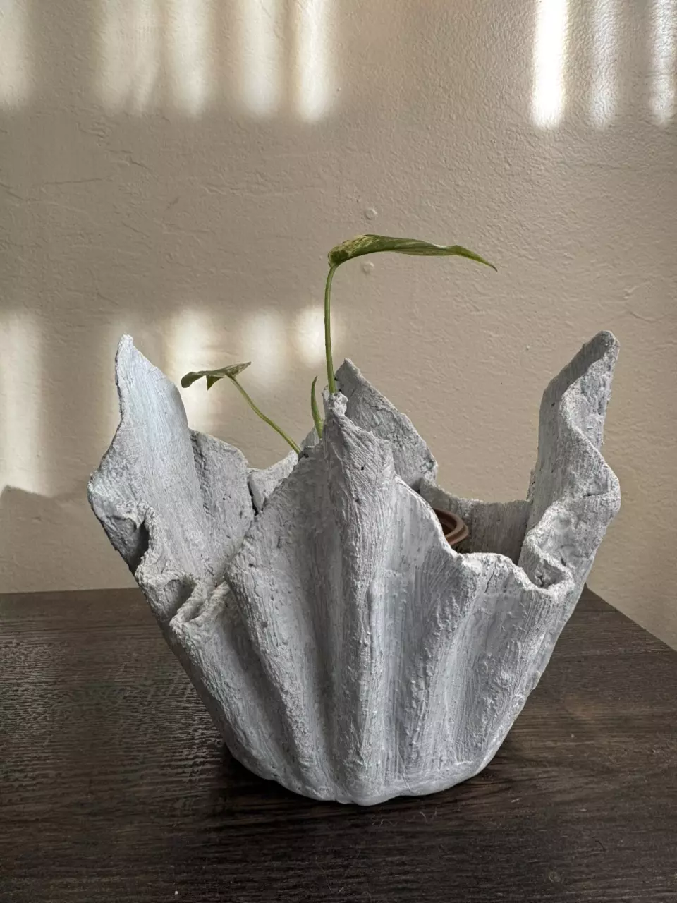 plant/Lightweight Cement Planter-2