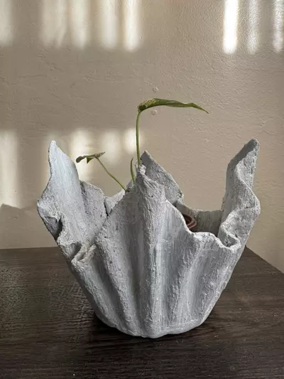 plant/Lightweight Cement Planter-2-thumbnail
