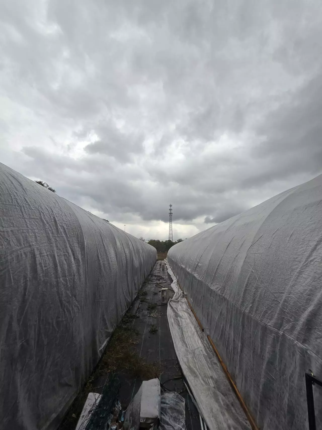 heat_pack/Reship hoya-0