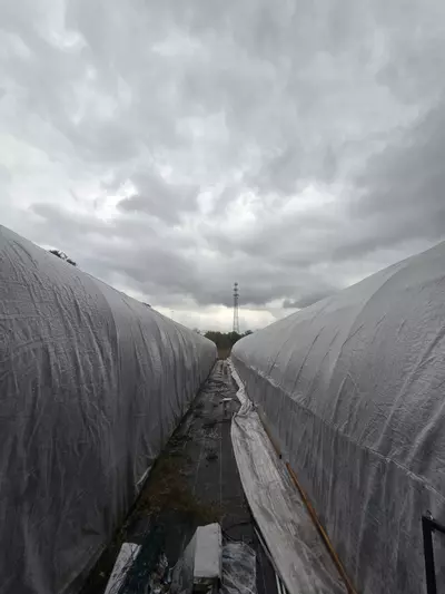 heat_pack/Reship hoya-0-thumbnail