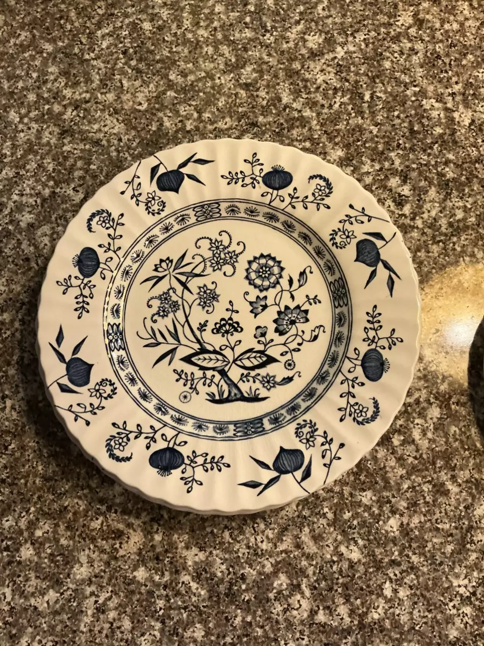 plant/💙 J&G Meakin Blue Onion Plate Bundle | 9-Piece Set-1