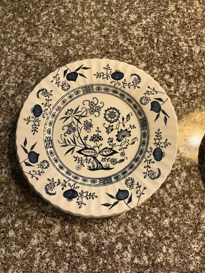 plant/💙 J&G Meakin Blue Onion Plate Bundle | 9-Piece Set-1-thumbnail